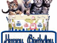 Картинка с днем рождения с котятами