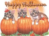 Мерцающая открытка на Хэллоуин кошки