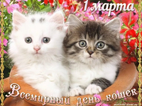 1 марта всемирный День кошек картинка