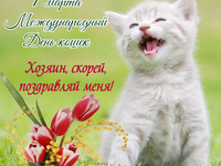 Международный день кошек 1 марта открытка